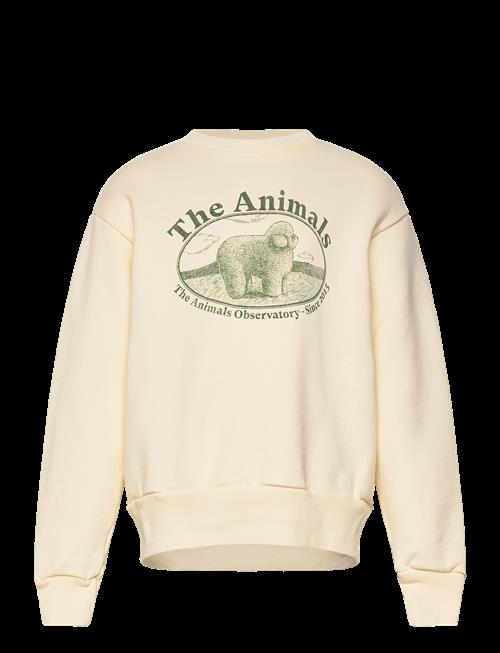 THE ANIMALS OBSERVATORY | Bear Kid Sweatshirt White Logo | 8 Y