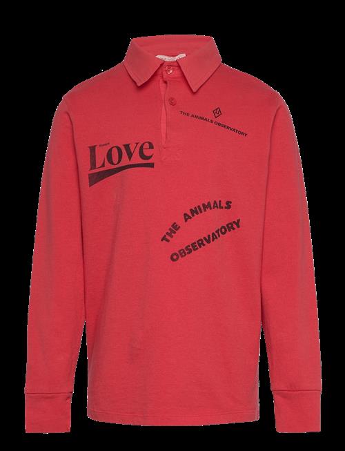 THE ANIMALS OBSERVATORY | Eel Kid Polo Shirt Red | 8 Y