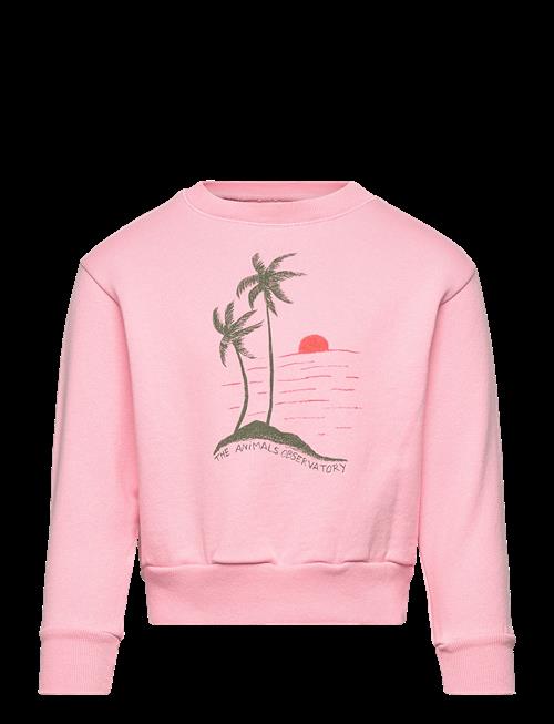THE ANIMALS OBSERVATORY | Bear Kid Sweatshirt Pink | 3 Y