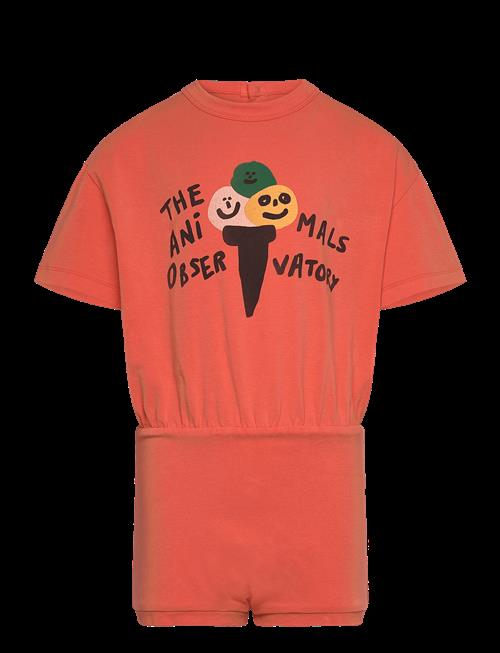 THE ANIMALS OBSERVATORY | Koala Kid Body Salmon | 3 Y