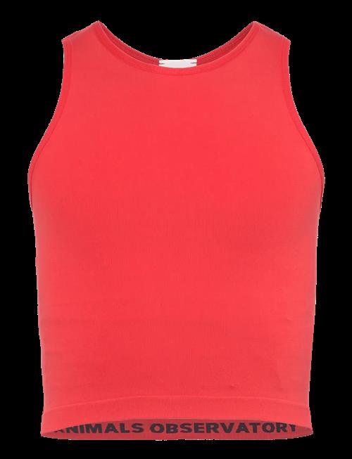 THE ANIMALS OBSERVATORY | Hyena Kid Tank Top Red | 45542
