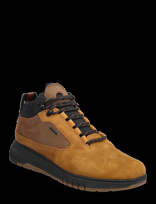 GEOX | U Aerantis 4X4 B Abx | 44