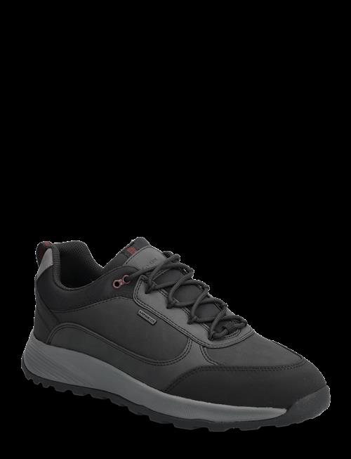 GEOX | U Terrestre B Abx A | 45