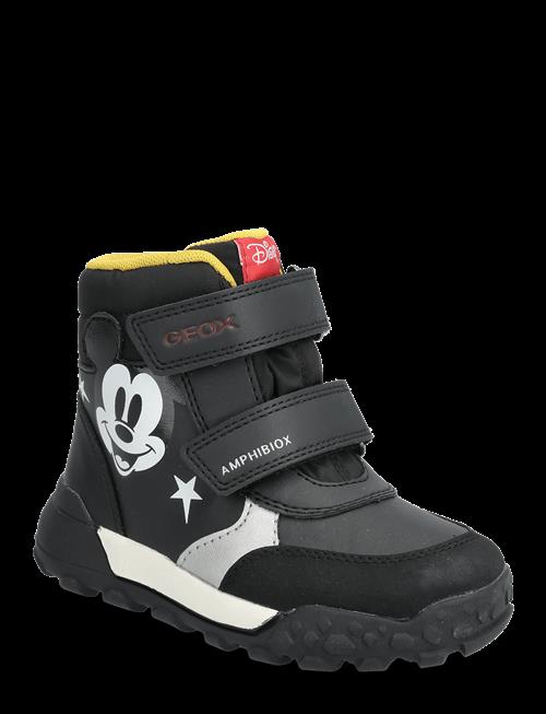 GEOX | B Trekkyup Boy B Abx | 21