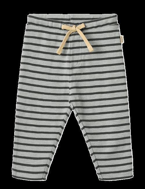 Wheat | Jersey Pants Manfred | 56
