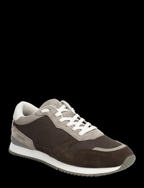 Lloyd | Swift | 46