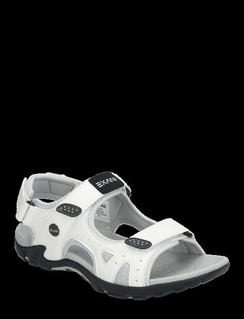 Exani | Spider Pro W | 36
