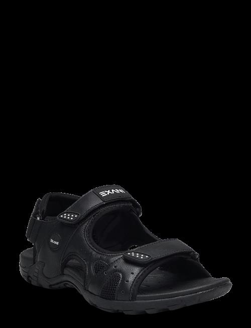 Exani | Spider Pro W | 38