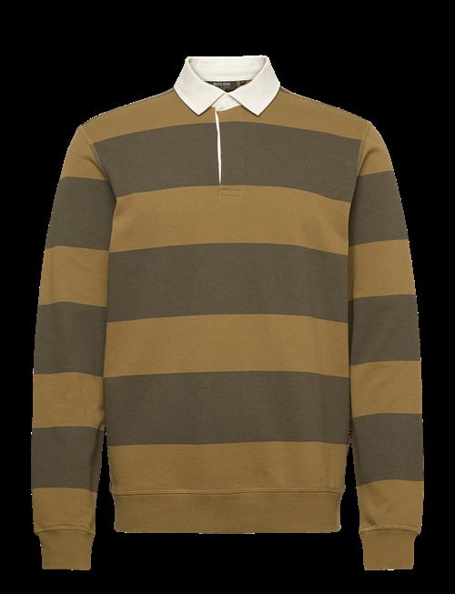 INDICODE | Indisnar Stripe | L