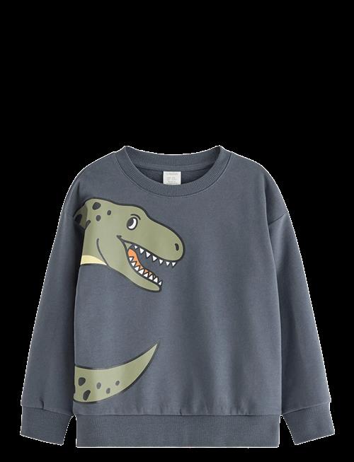 Lindex | Sweatshirt Dino Placement | 92