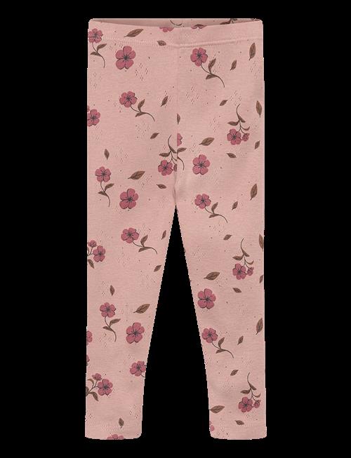 The New | Tnsbpicole Pointelle Leggings | 62