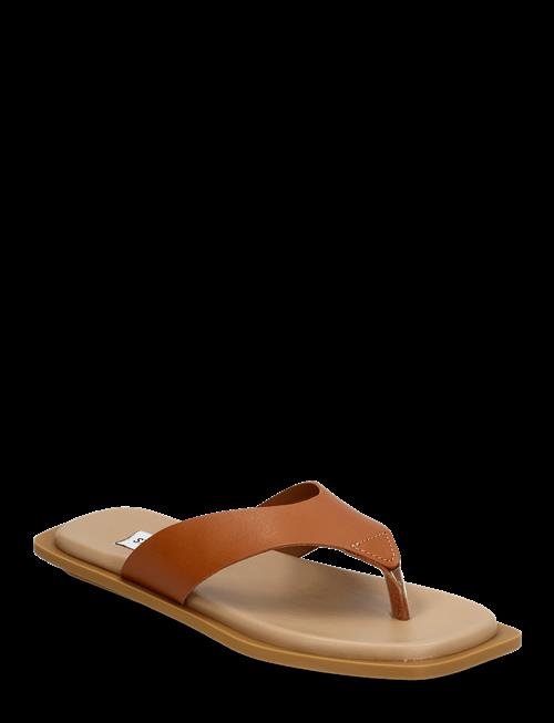 Steve Madden | Splash Sandals | 39