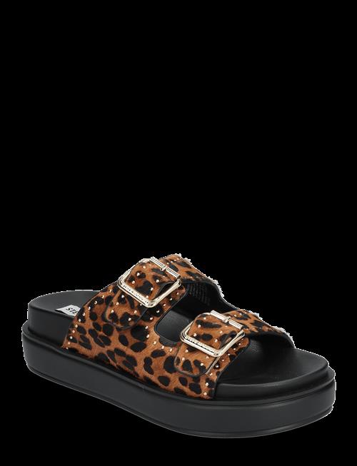 Steve Madden | Freelance-L Slides | 41