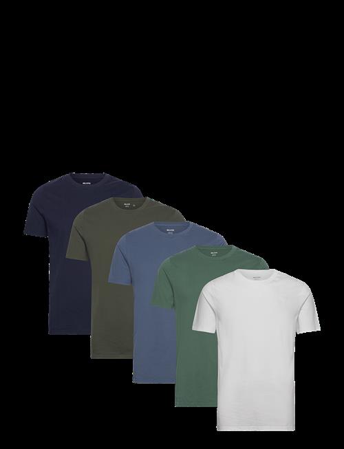 Hollister | Icon T Shirt 5 Pack | XS