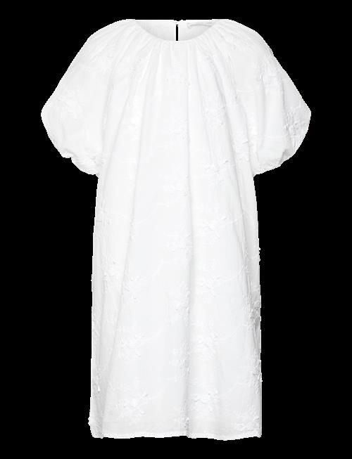 Mango | Dress .-- Pompi | 116