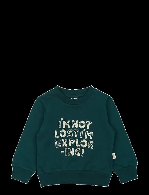 Petit Piao | Ppdov Sweat Shirt | 74