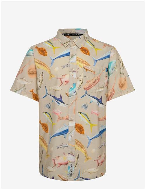 KAVU | Festaruski | M