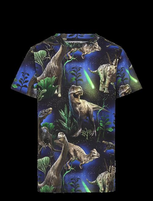 Molo | Ralphie | 140