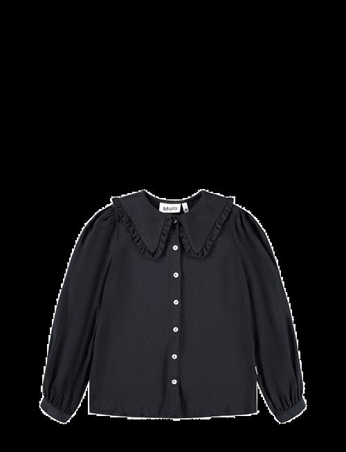 Molo | Robbin | 98/104