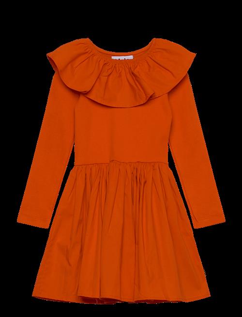 Molo | Cille | 158/164