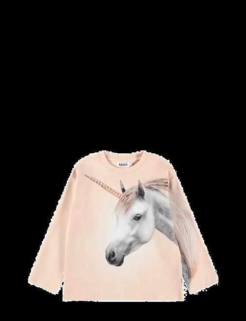 Molo | Mountoo | 116
