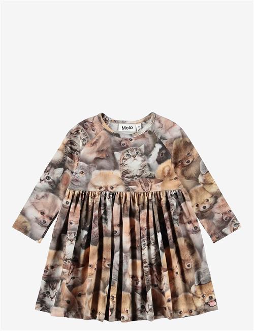 Molo | Charmaine | 92