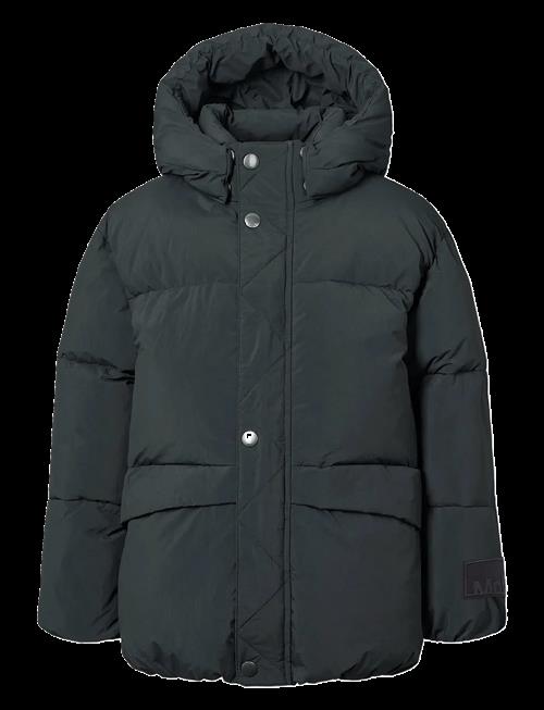 Molo | Hayden | 110