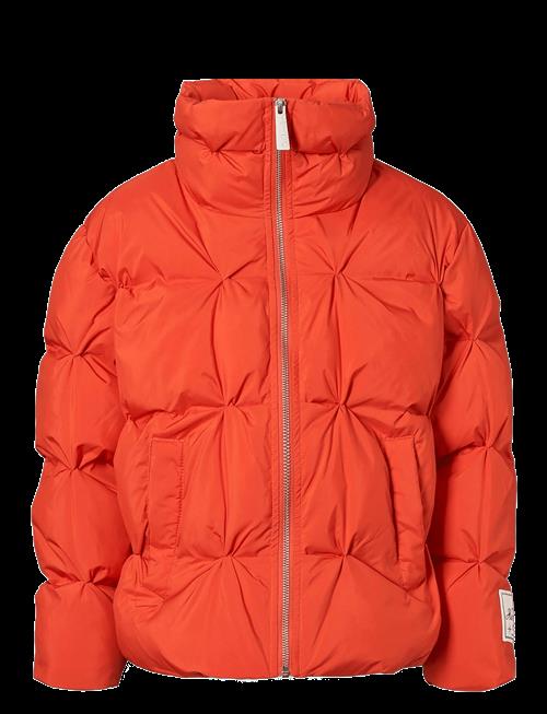 Molo | Helsa | 104