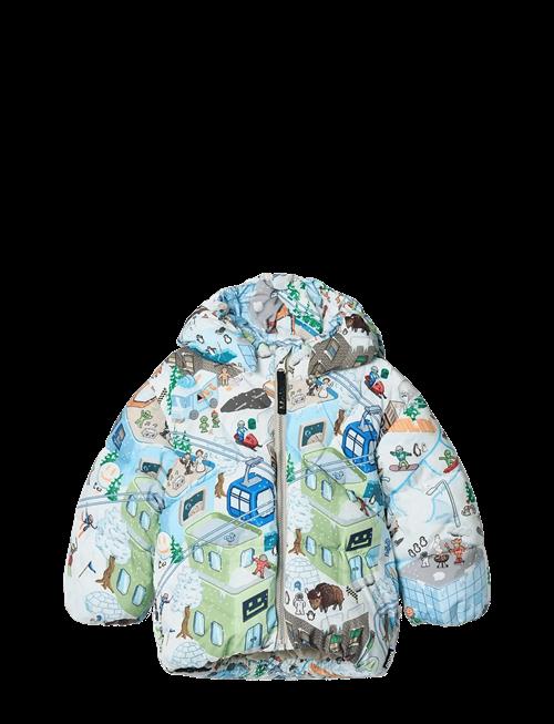 Molo | Harpo | 74