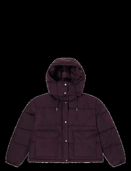 Lee Jeans | Short Puffer With Hood | L