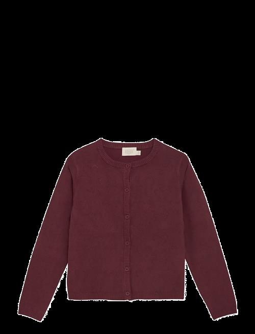 Creamie | Cardigan Pointelle | 92