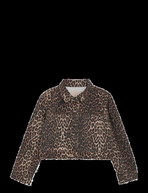Creamie | Jacket Leo | 116