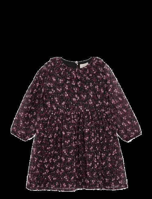 Creamie | Dress Flower Dobby | 104