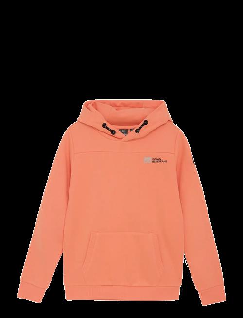 Indian Blue Jeans | Hoodie Kangaroo Pocket | 116