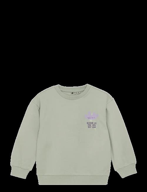 Daily 7 | Sweater Backprint | 98