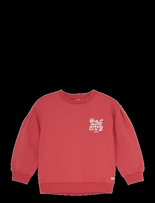 Daily 7 | Sweater Brushed Print | 122