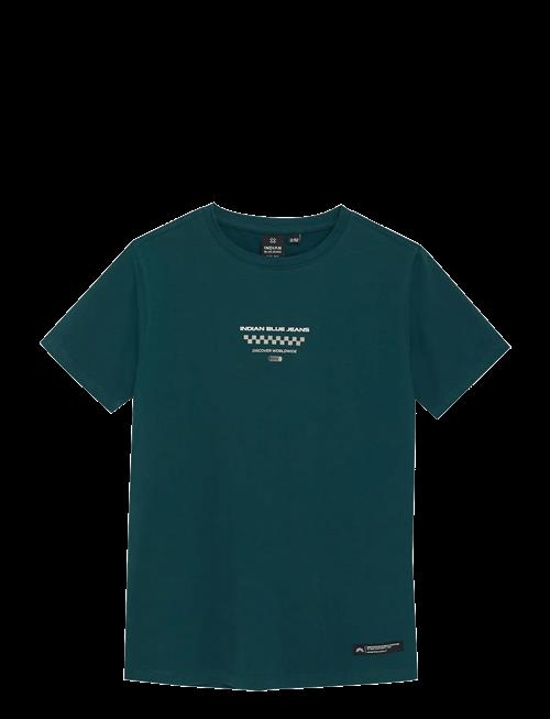 Indian Blue Jeans | T-Shirt Chest And Backprint | 110