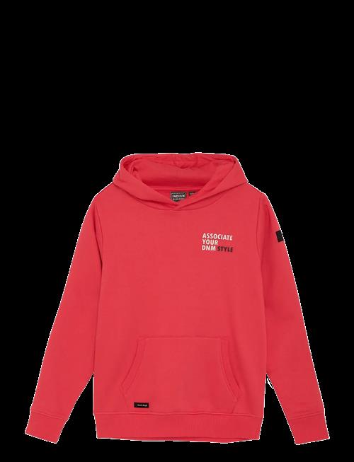 Indian Blue Jeans | Hoodie Ibj | 128