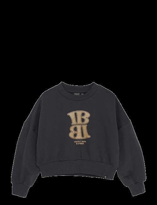 Indian Blue Jeans | Sweater Lava Dye | 176