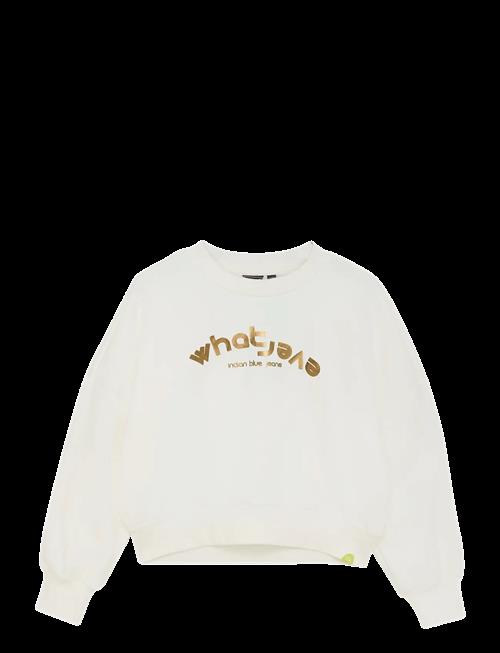 Indian Blue Jeans | Sweater Foil | 164