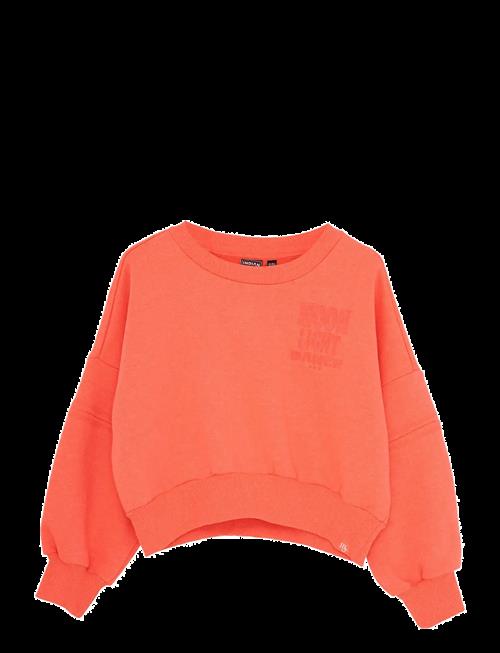 Indian Blue Jeans | Sweater Bright | 128