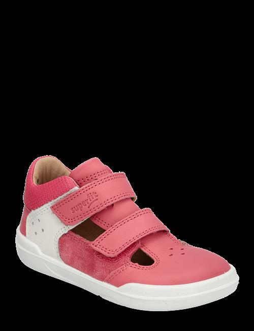 Superfit | Superfree | 22/13.7CM