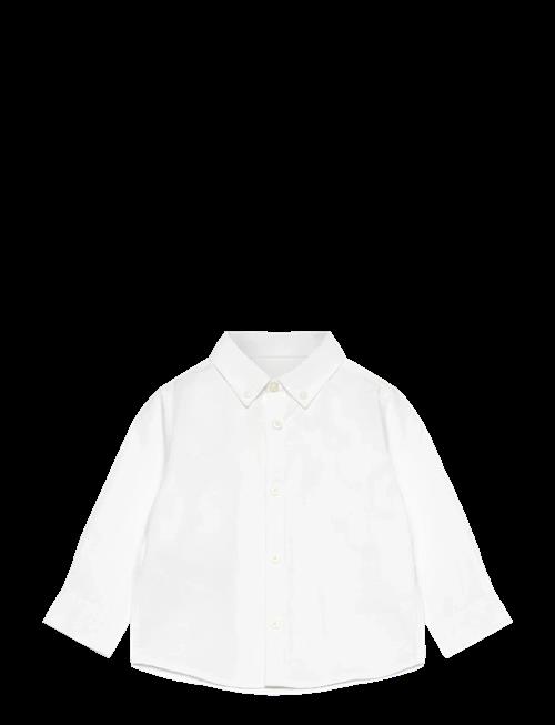 Mango | Oxford Cotton Shirt | 2-3