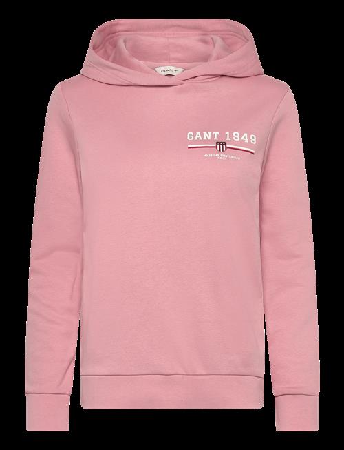 Gant | Reg Graphic Hoodie | M