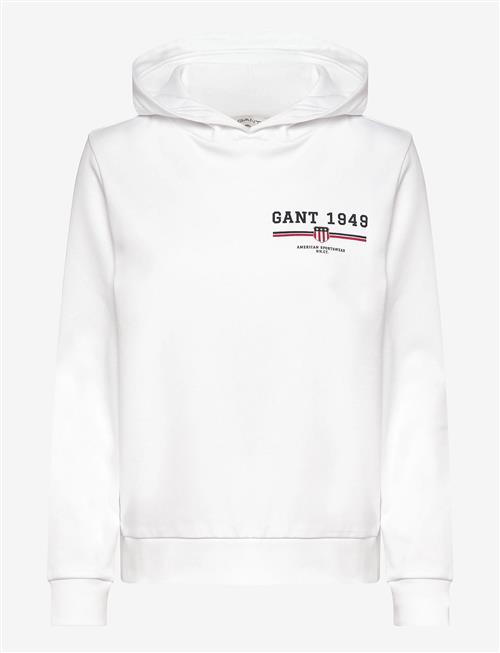 Gant | Reg Graphic Hoodie | S