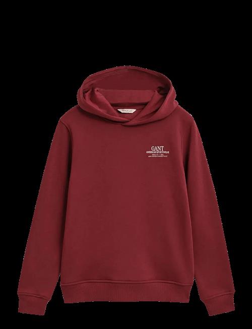 Gant | Graphic Hoodie | 134-140