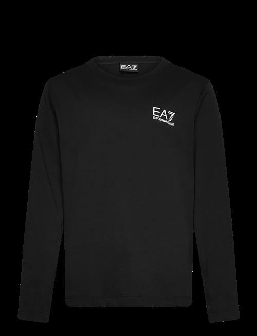 EA7 | T-Shirt | 12 A