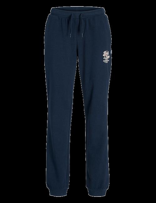 Jack & Jones | Jpstelogo Sweatpants 2Col 25/26 Noos Mni | 110