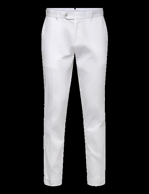 BOSS | C-Genius-Tu-Wg-261F | 48