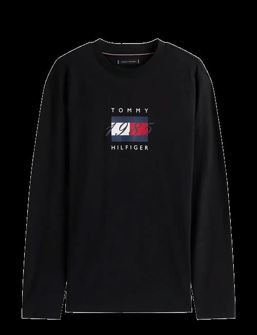 Tommy Hilfiger | Linear Flag Graphic Ls Tee | M
